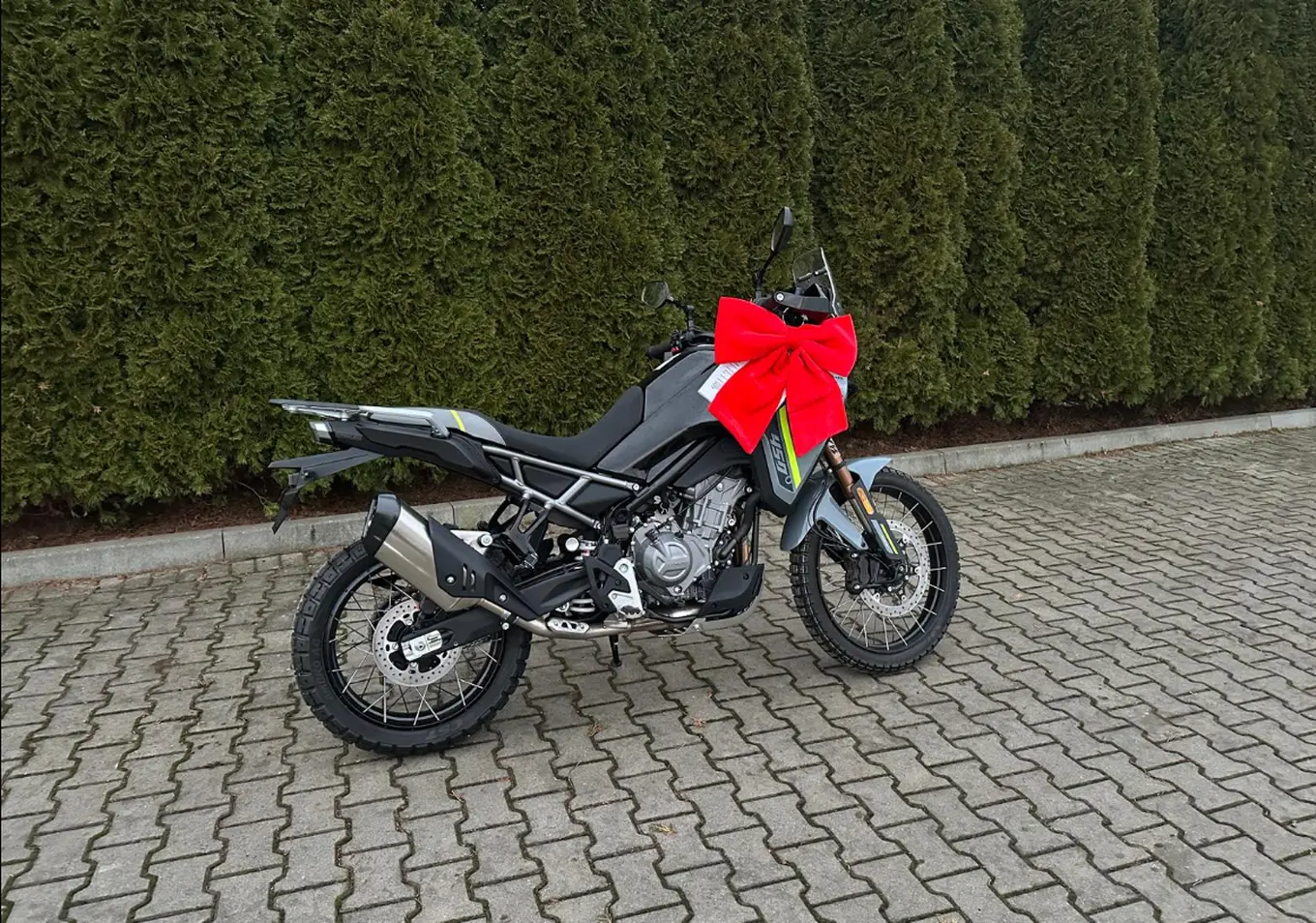 Pit Bike Kayo